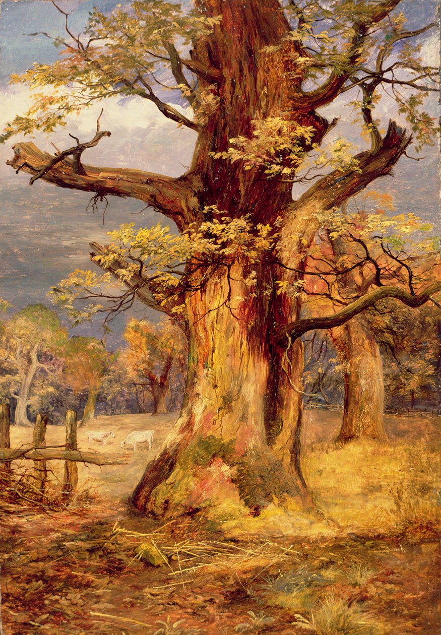 Püskürtülmüş Meşe, Galloway by James Jnr Faed