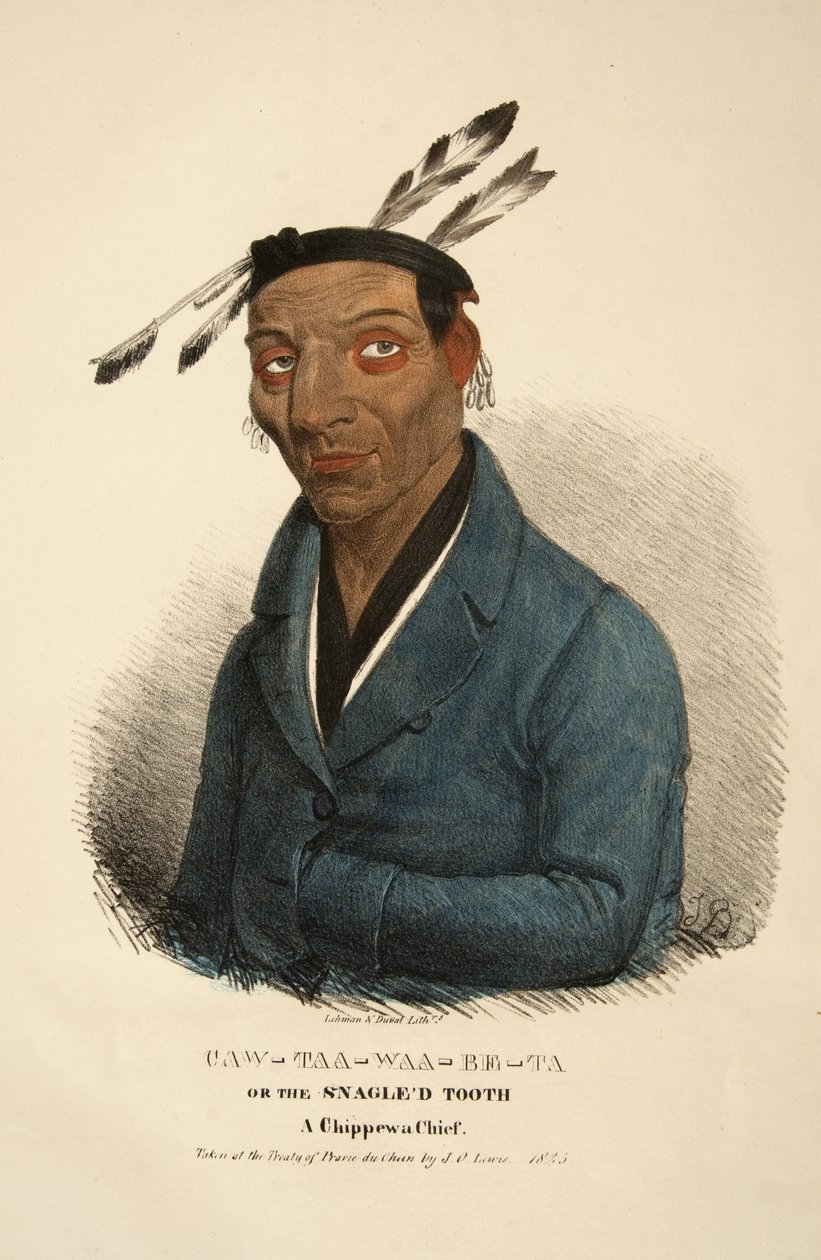 Caw-taa-waa-be-ta veya Sapık Diş by James Otto Lewis