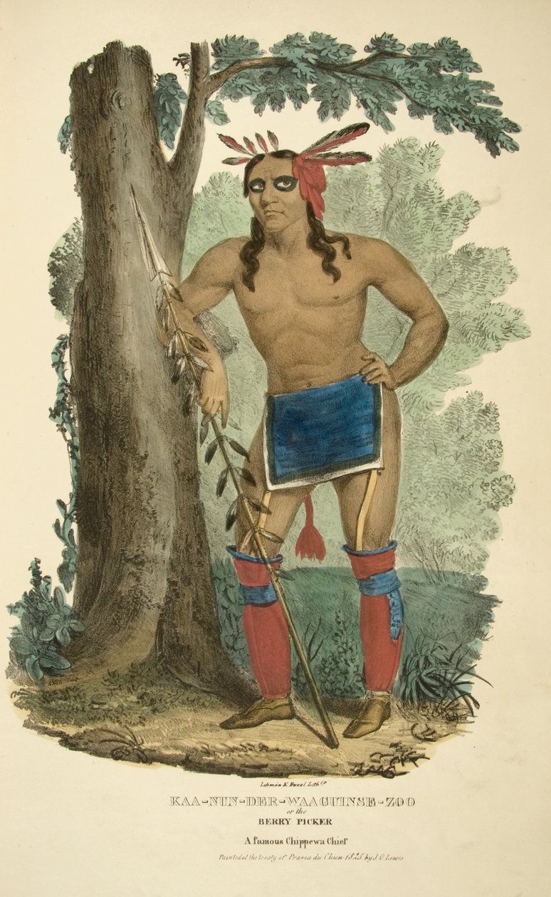 Kaa-nun-der-waaguinse-hayvanat bahçesi veya Berry Picker by James Otto Lewis