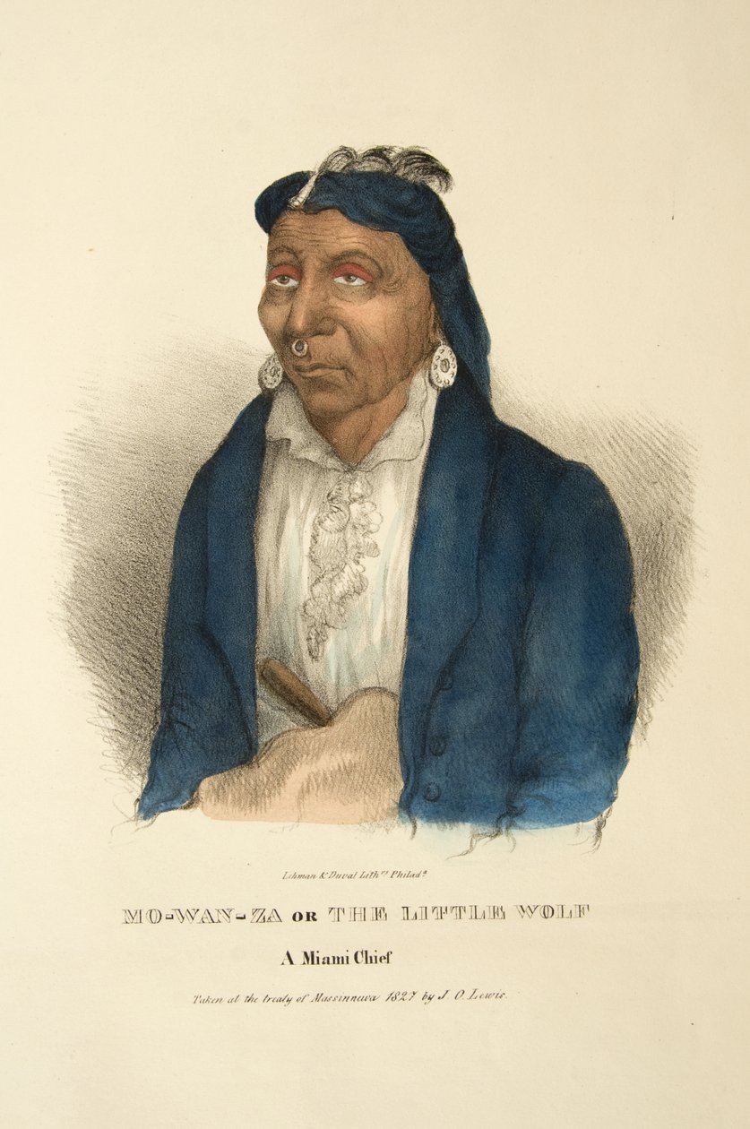 Mo-wan-za veya Küçük Kurt by James Otto Lewis