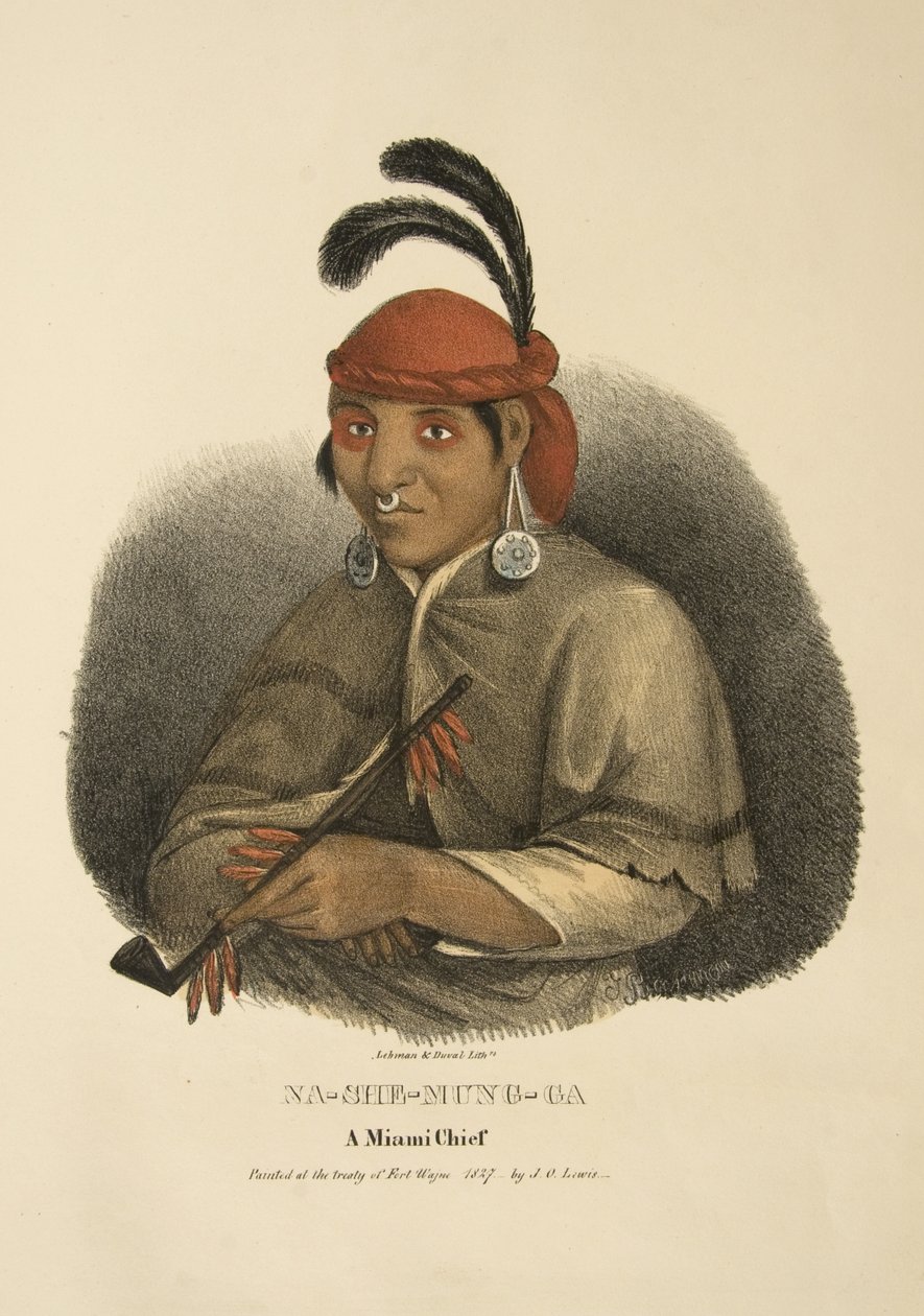 Na-she-mung-ga by James Otto Lewis