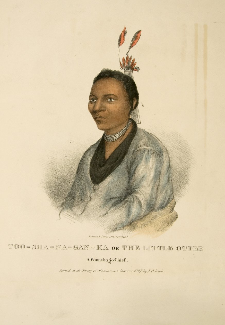 Too-sha-na-gan-ka veya Küçük Otter by James Otto Lewis