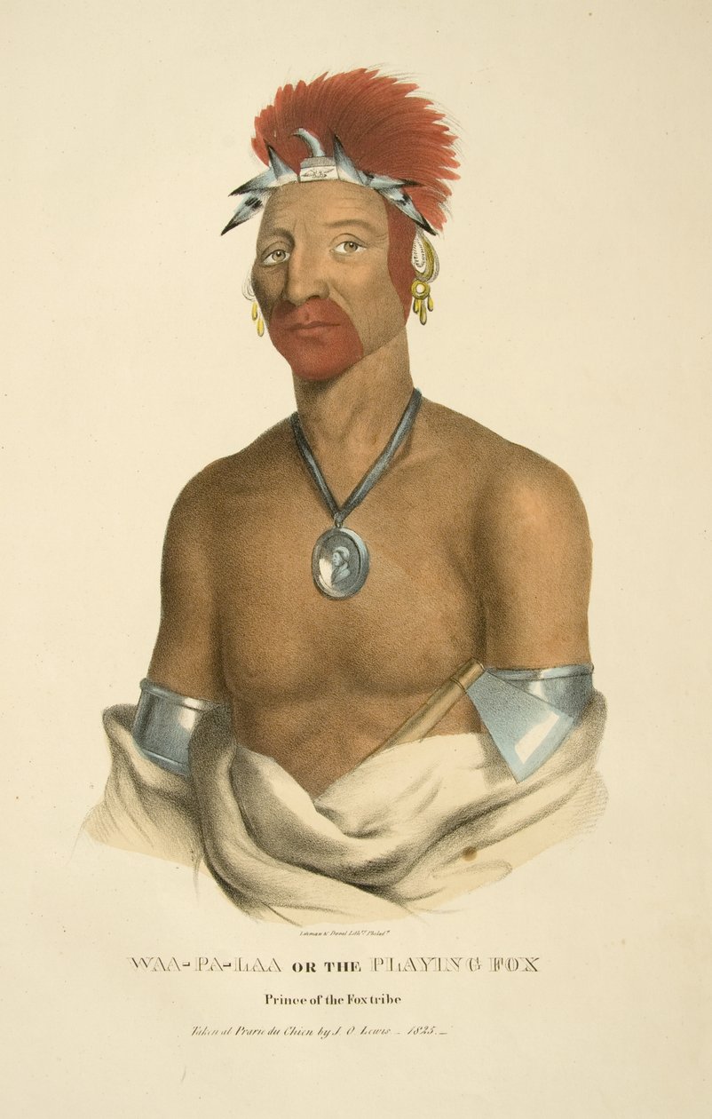 Waa-pa-laa veya Oynayan Tilki by James Otto Lewis