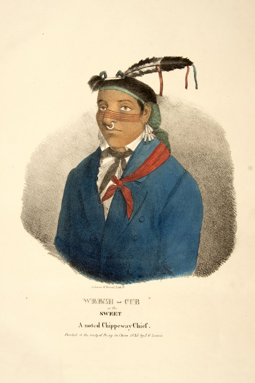 Weesh-cub veya Sweet by James Otto Lewis