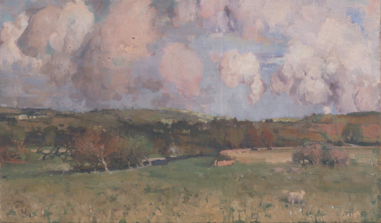kalefern by James Paterson