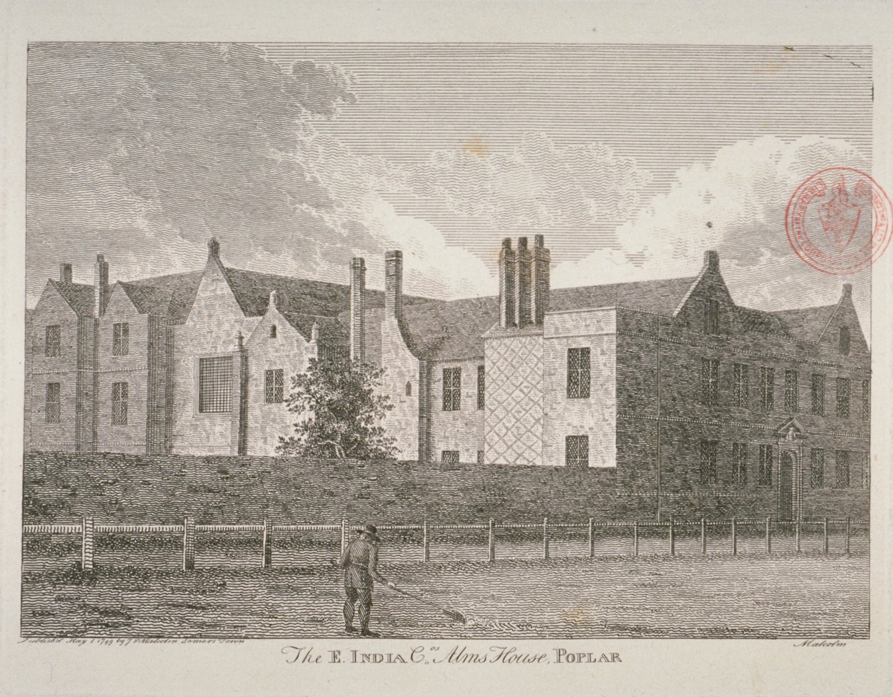 Poplar