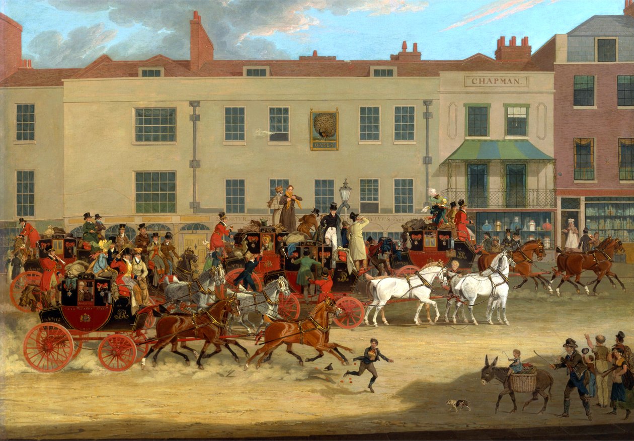 Peacock, Islington