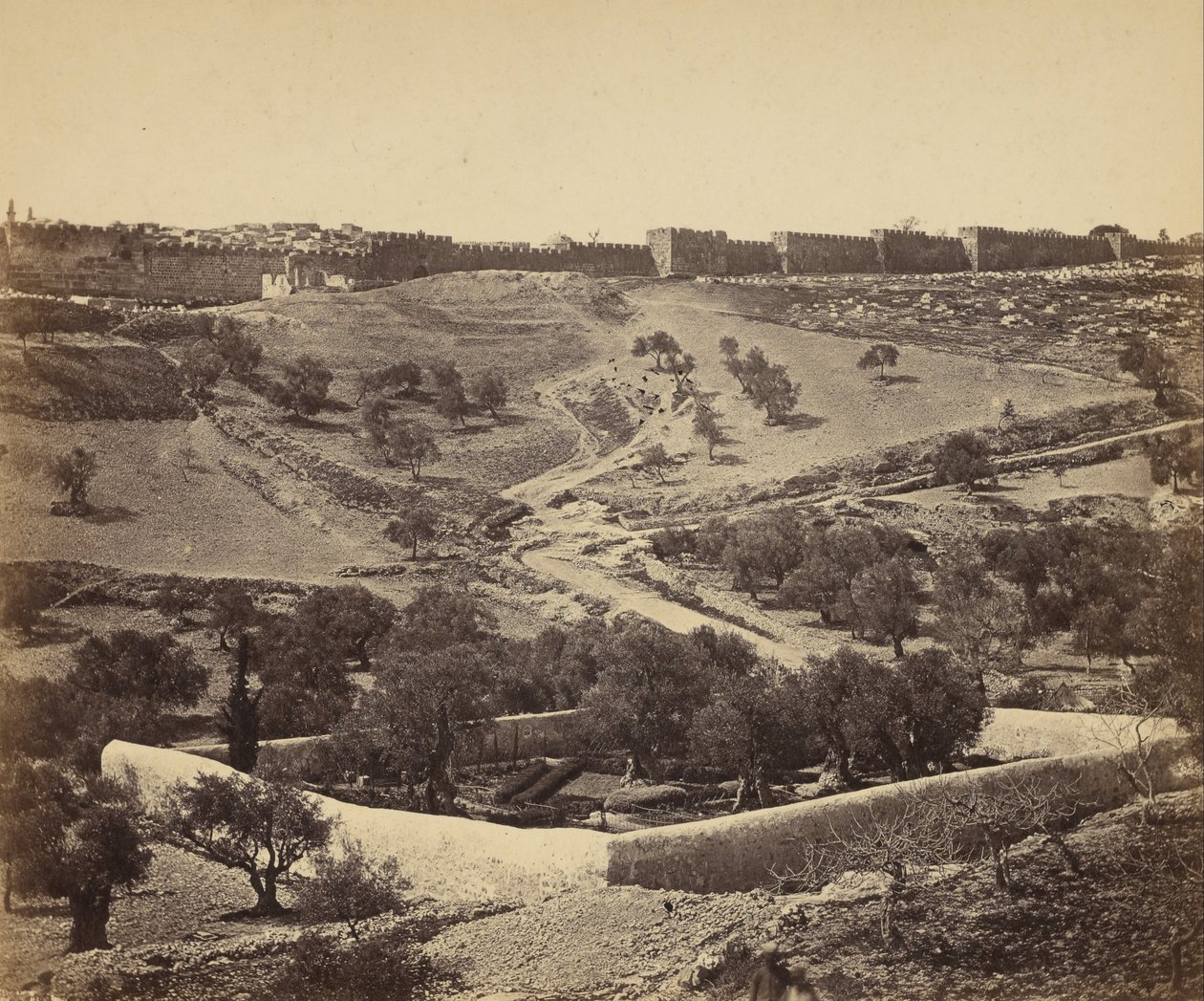 (Kudüs. Gethsemane Bahçesi) by James Robertson