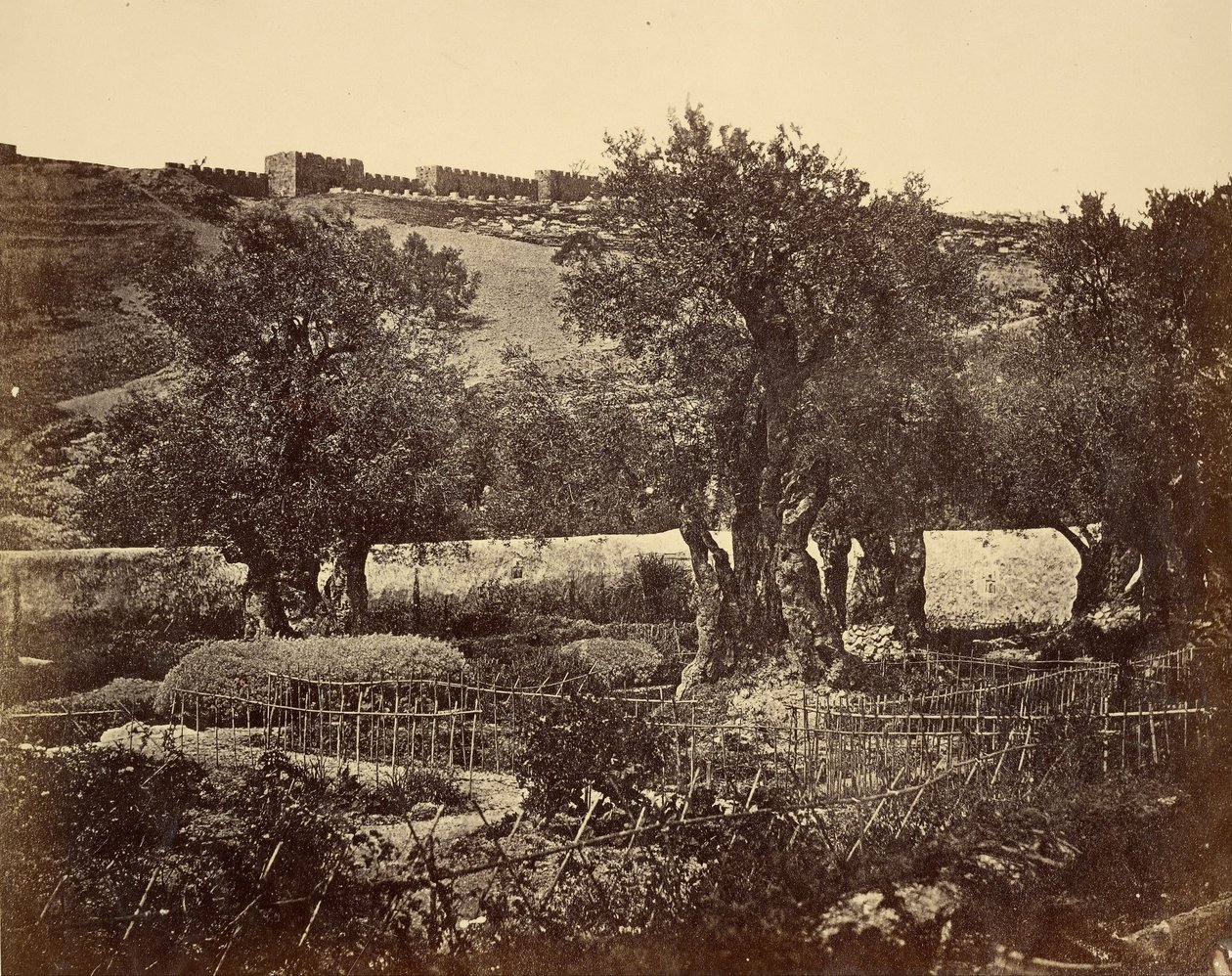 Getsemani Bahçesi by James Robertson