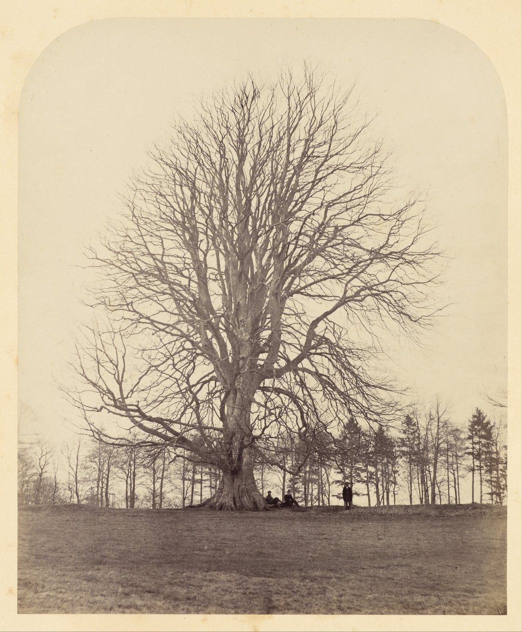 Manor Hill