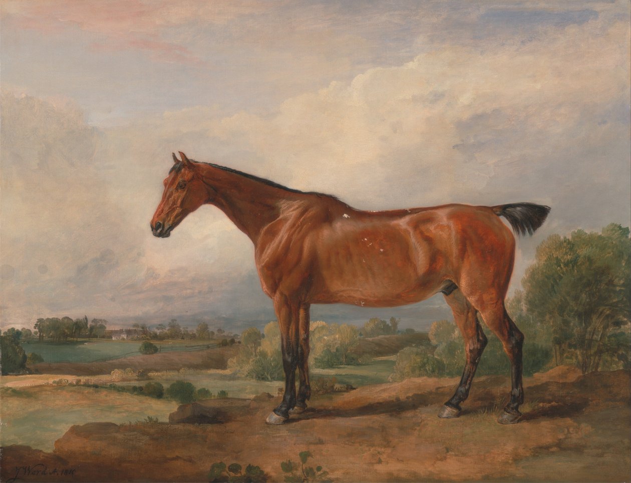 Manzarada Bir Avcı by James Ward