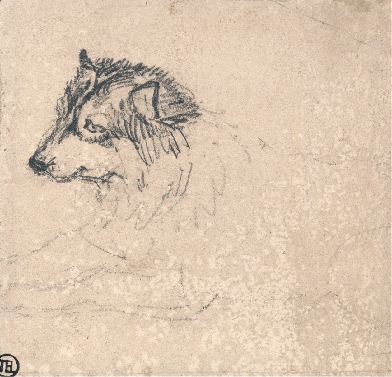 Kutup Köpeği, Sola Bakıyor by James Ward