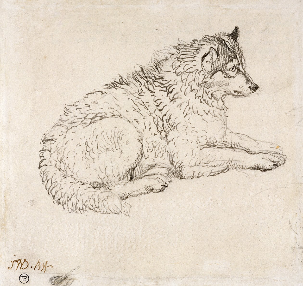 Kutup Köpeği, Sağa Bakan by James Ward