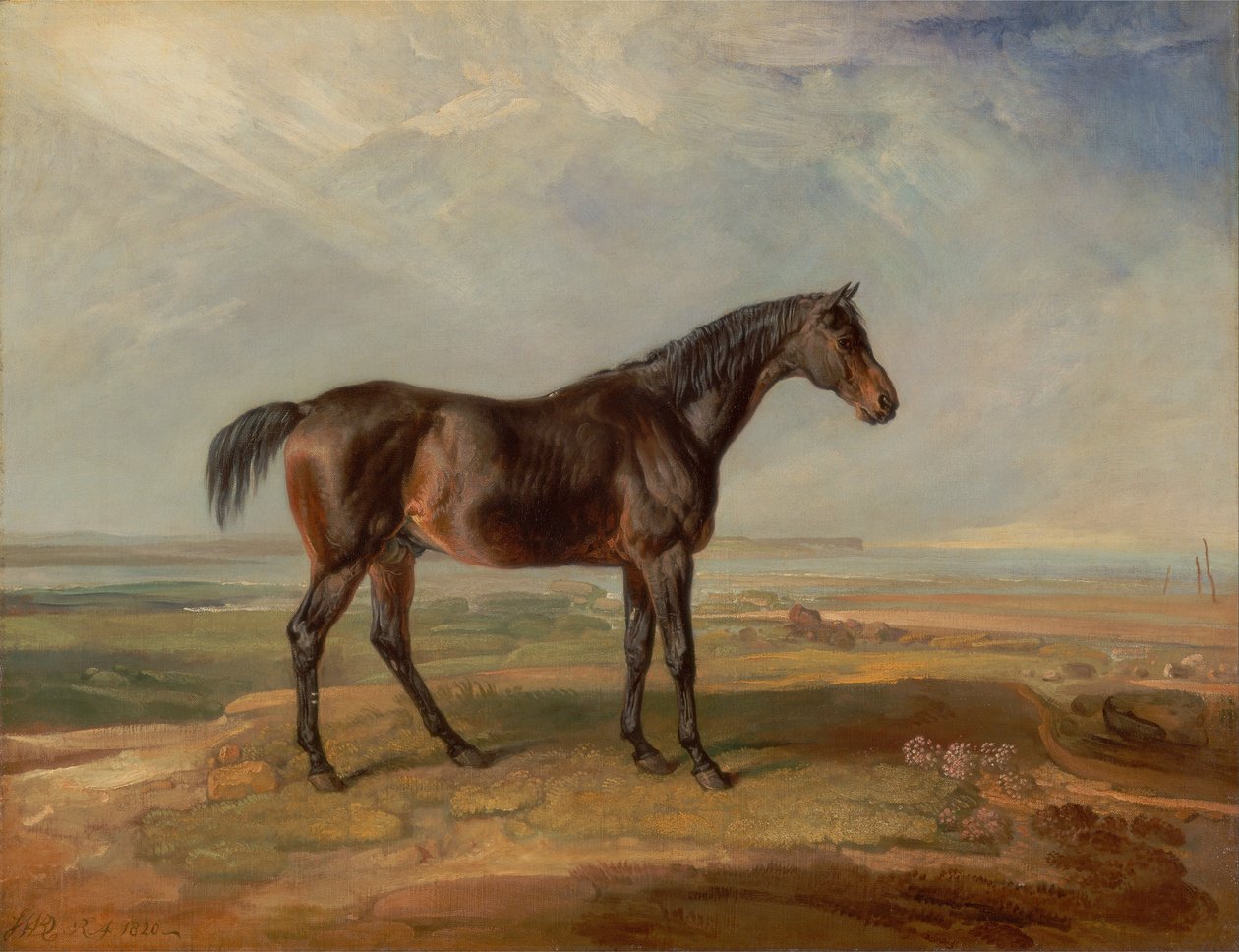 Dr. Syntax, Bir Körfez Yarış Atı, Bir Kıyı Peyzajında Duran, Ötesinde Bir Haliç by James Ward