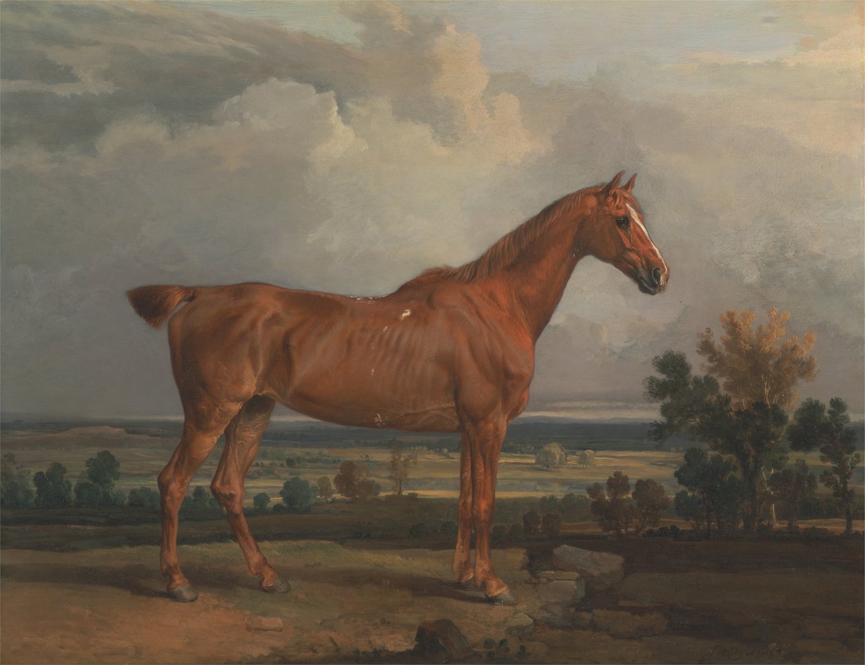 Bir manzarada avcı by James Ward