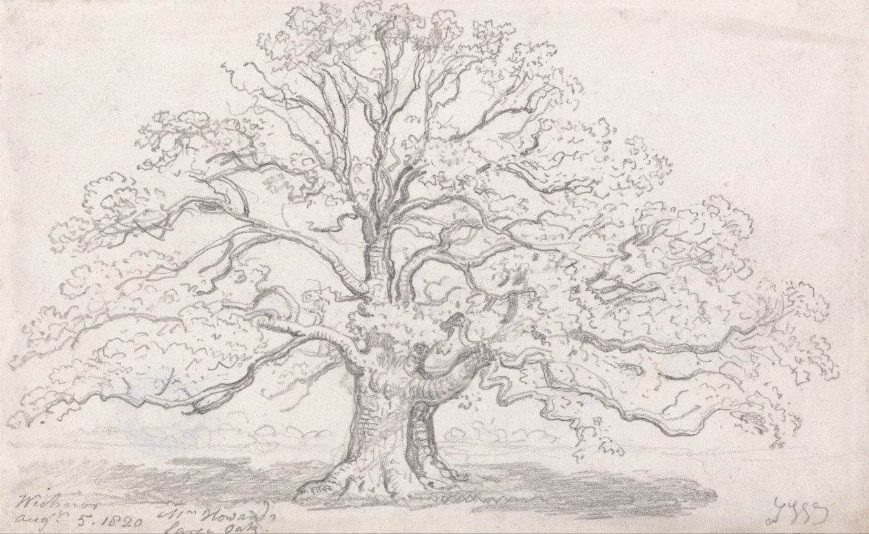Bay Howards Büyük Meşe, 5 Ağustos 1820 by James Ward