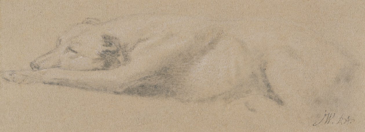 Uyuyan Köpek Çalışması (devetüyü kağıt üzerine siyah tebeşir) by James Ward