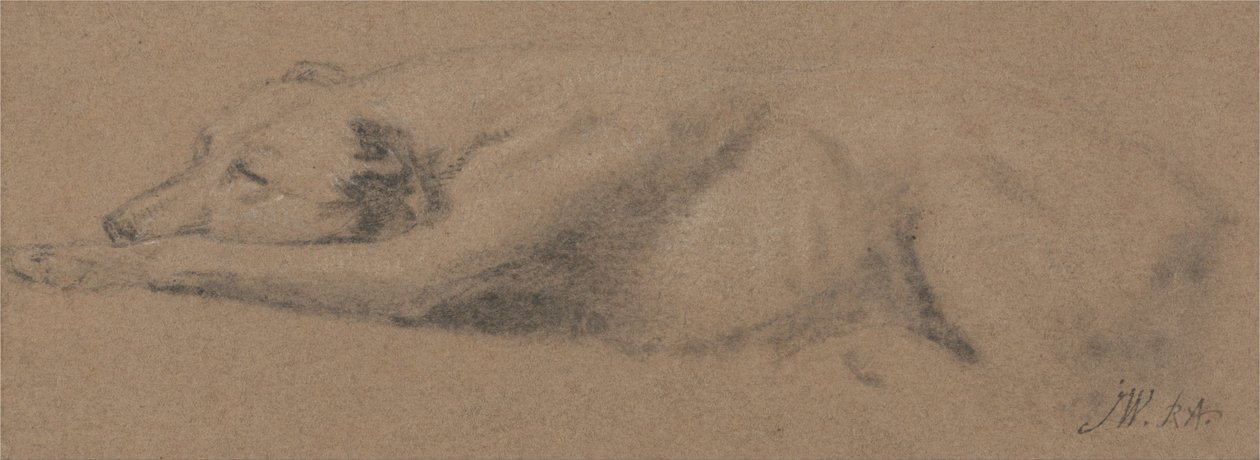 Uyuyan Köpek Çalışması by James Ward