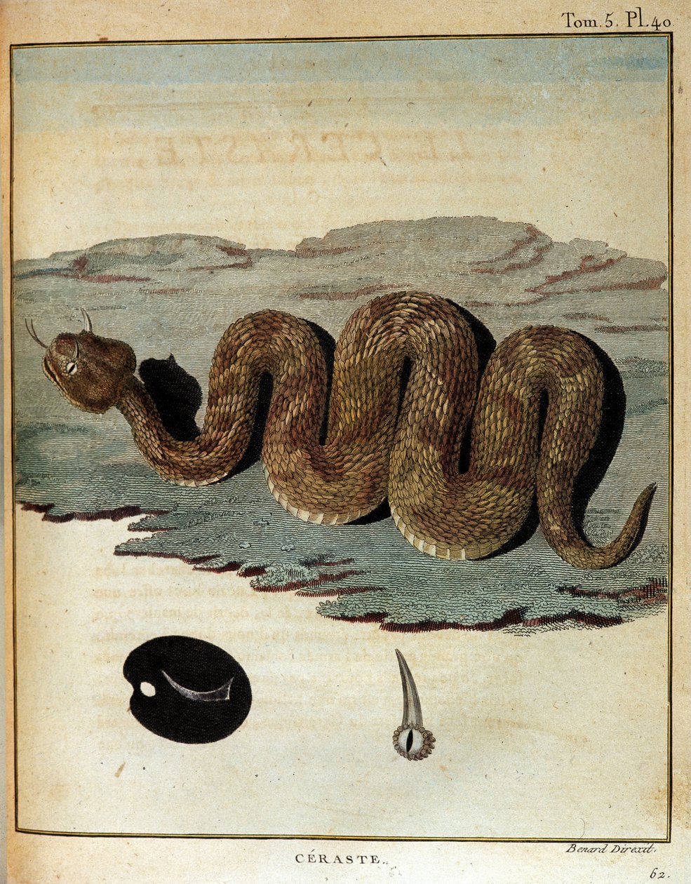 Yılan - James Bruce, Paris tarafından 1768-1772 yılları arasında Nil