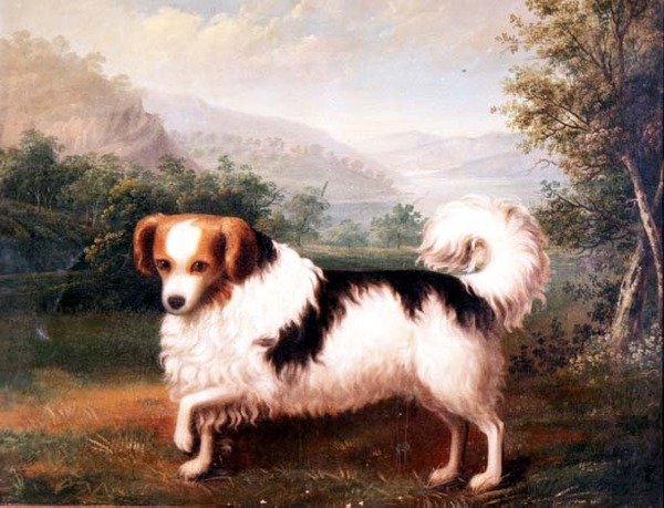 Bir Yayla Manzarasında Bir Phallene Papillon by James (attr. to) Barenger