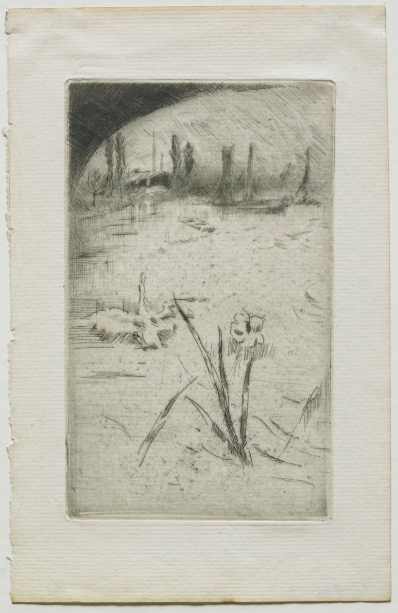 Kuğu ve İris, 1883. by James Abbott McNeill Whistler