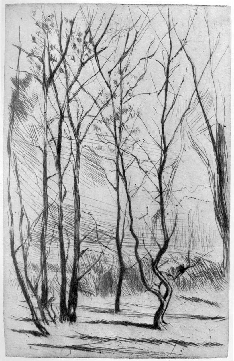 Baraj Ağacı, c1875 1904. by James Abbott McNeill Whistler