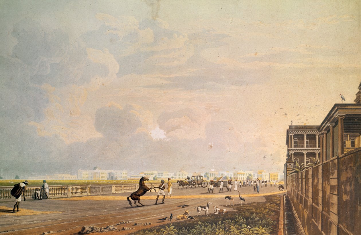 Robert Havell, pub tarafından oyulmuş Chouringhee Yolu, Kalküta