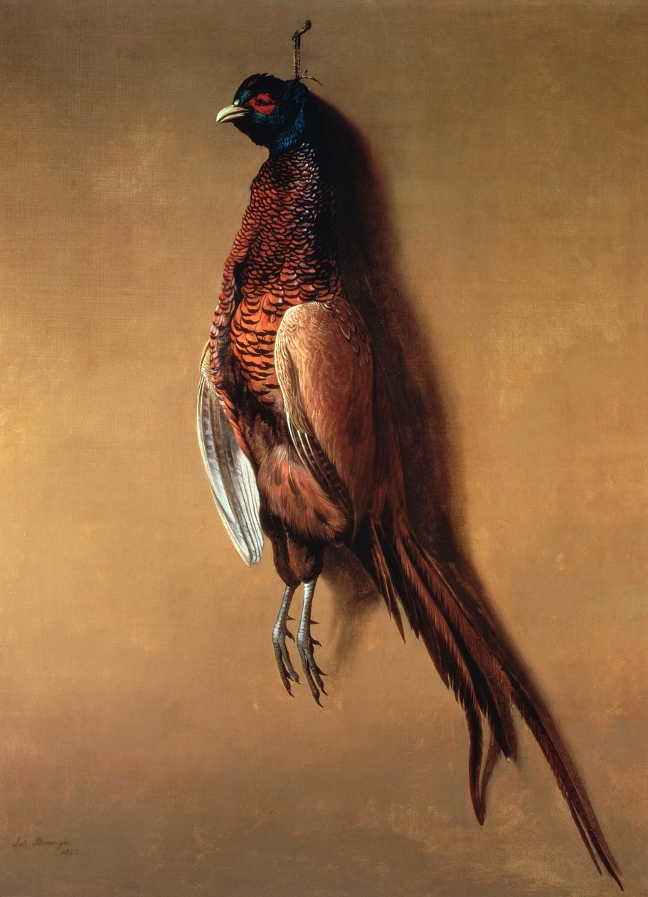 ಹ್ಯಾಂಗಿಂಗ್ ಕಾಕ್ ಫೆಸೆಂಟ್, 1822ಟರ್ಕ್ by James Barenger