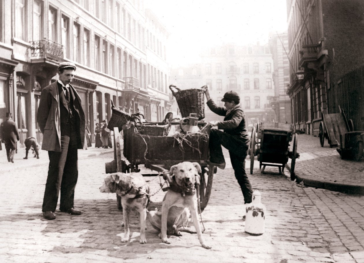 Köpek arabalı çocuk, Anvers, 1898. by James Batkin