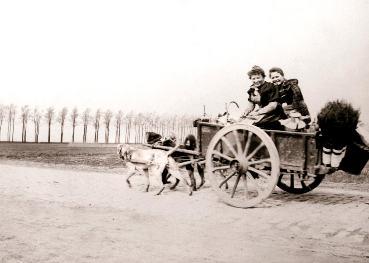 Kadınları arabaya çeken köpekler, Anvers, 1898. by James Batkin