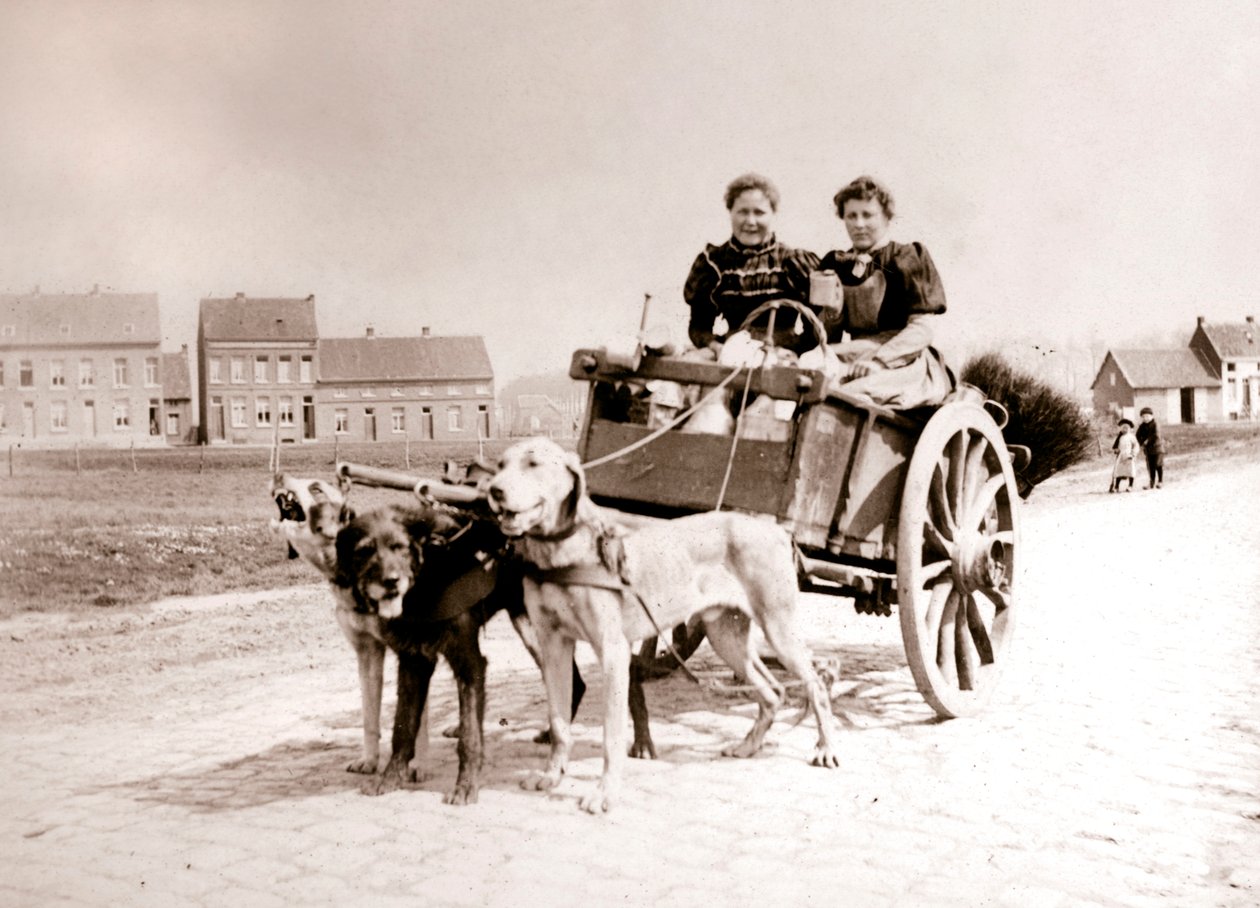 Kadınları arabaya çeken köpekler, Anvers, 1898. by James Batkin