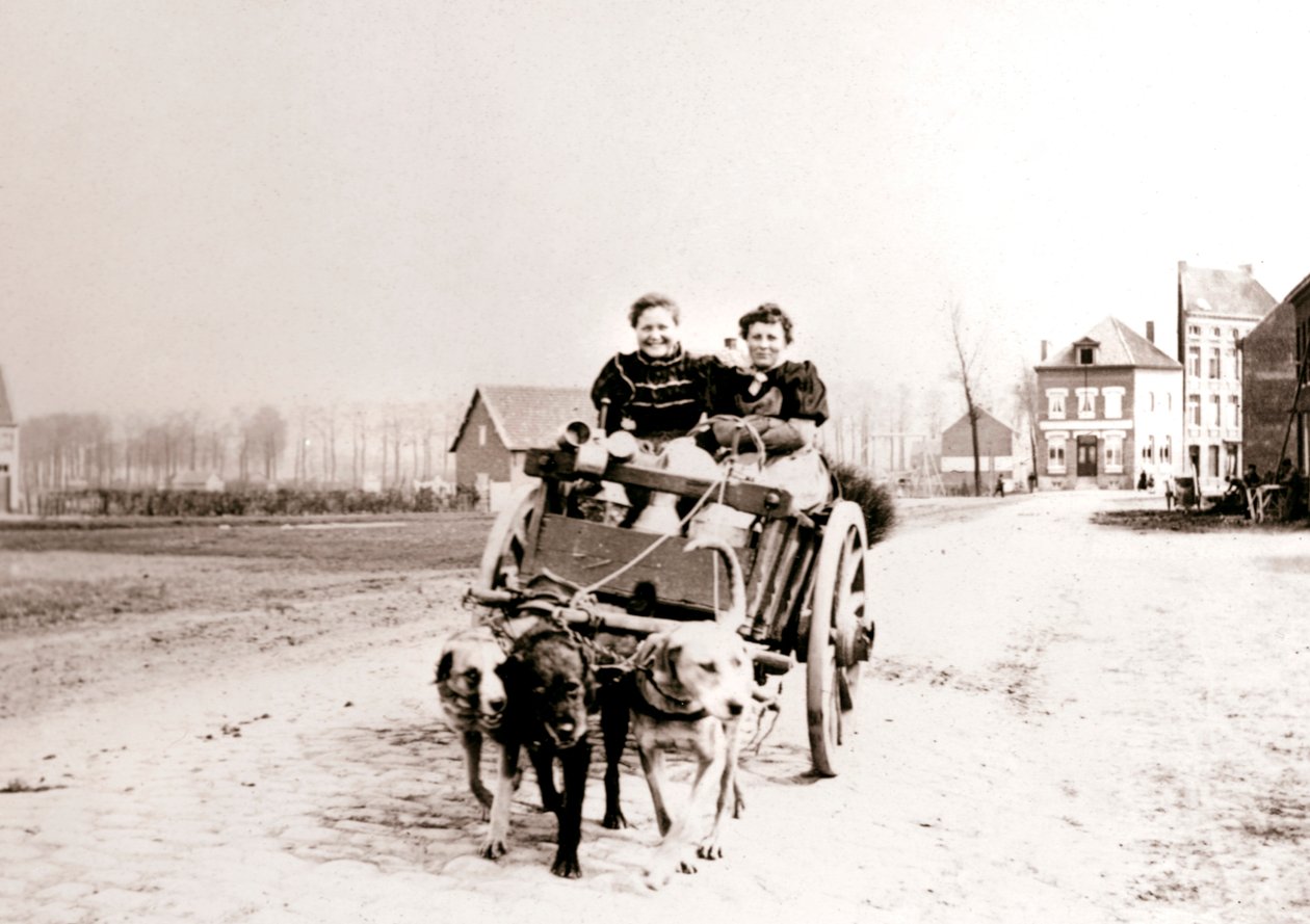 Kadınları arabaya çeken köpekler, Anvers, 1898. by James Batkin