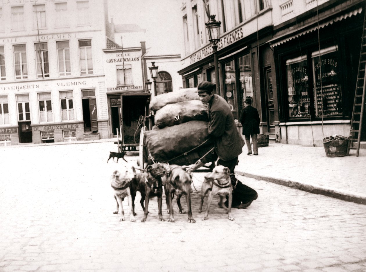 Köpek arabalı adam, Anvers, 1898 by James Batkin