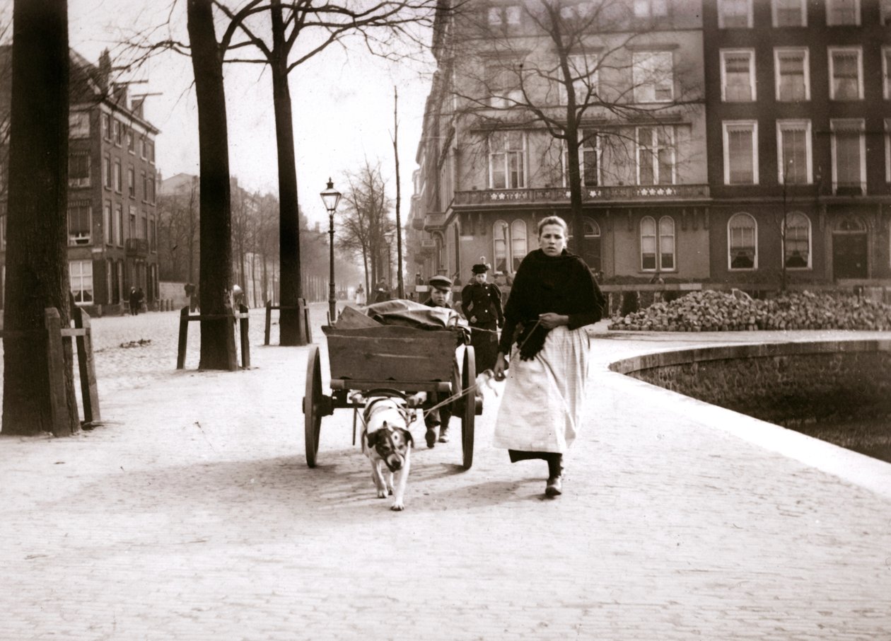 Köpek arabası olan kadın, Rotterdam, 1898. by James Batkin