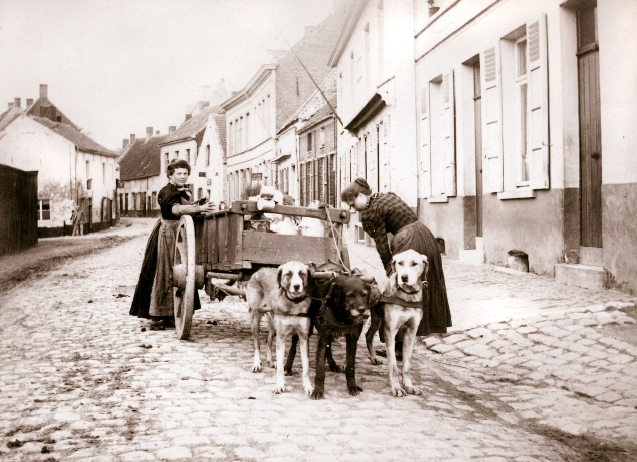 Kadınlar ve köpek arabası, Anvers, 1898 by James Batkin