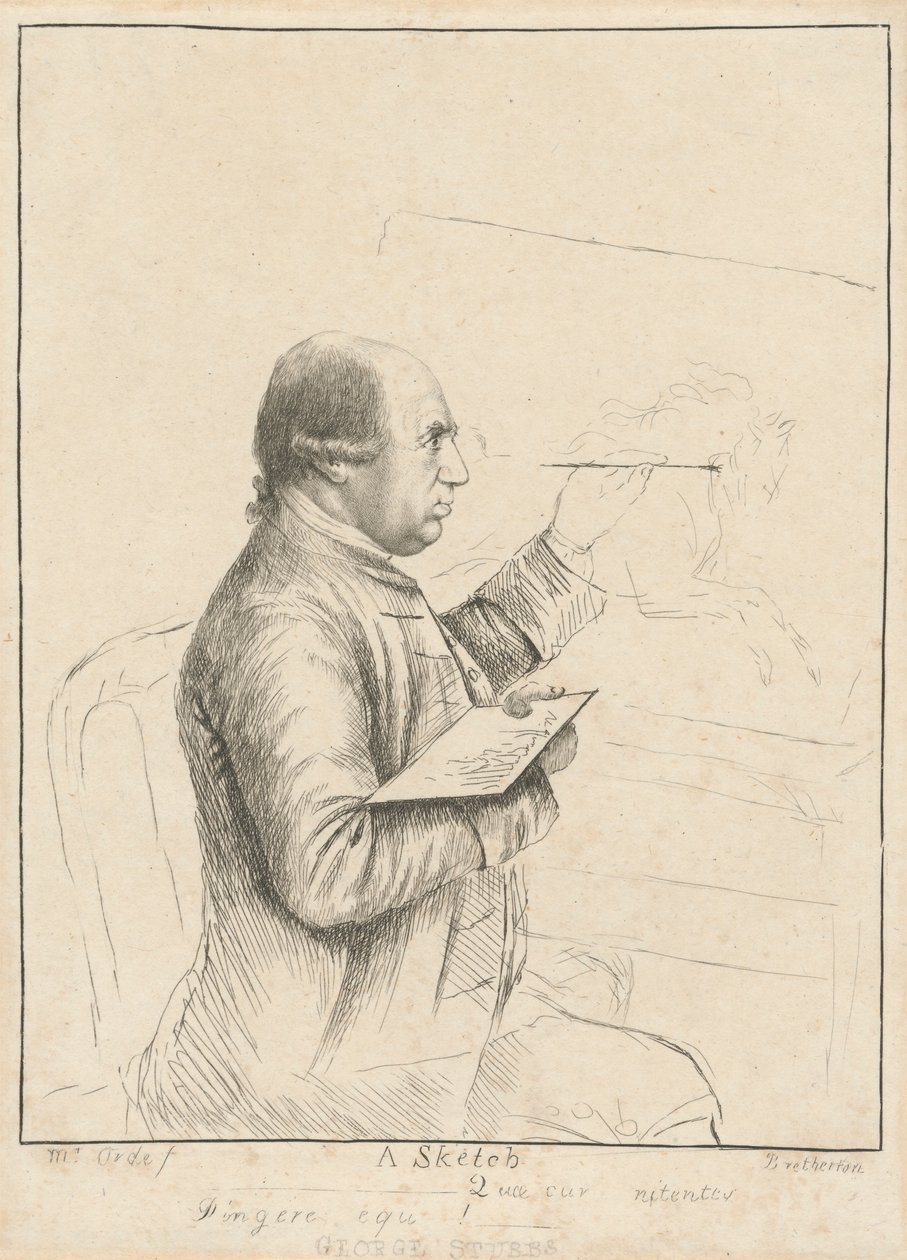 George Stubbs: Bir Taslak by James Bretherton
