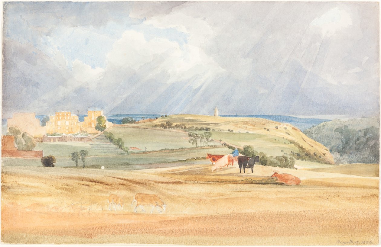 Sığırlarla Peyzaj (Somerset?) by James Bulwer