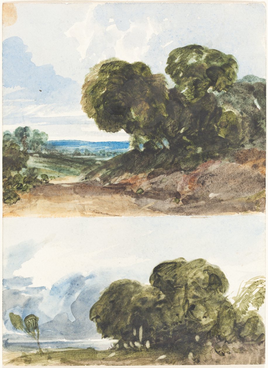 Ağaçların İki Eskizi by James Bulwer