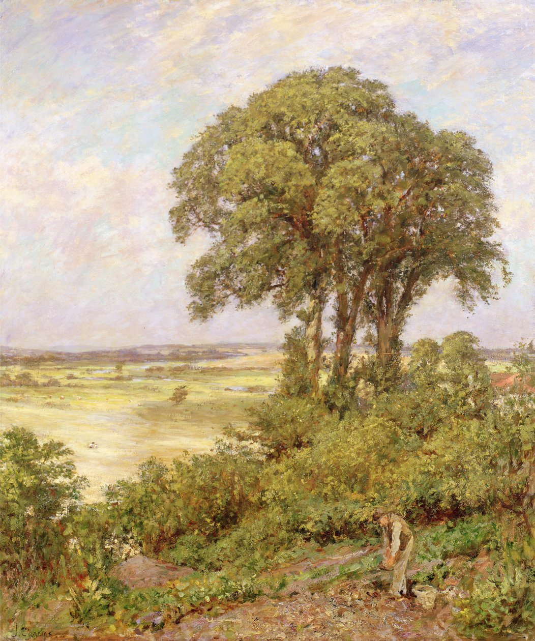 Sussex