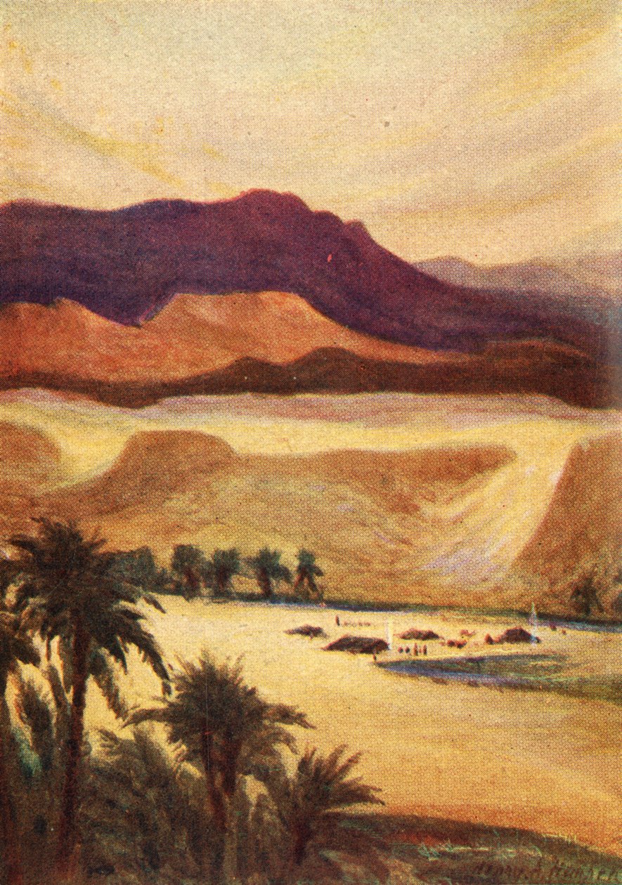 Elim