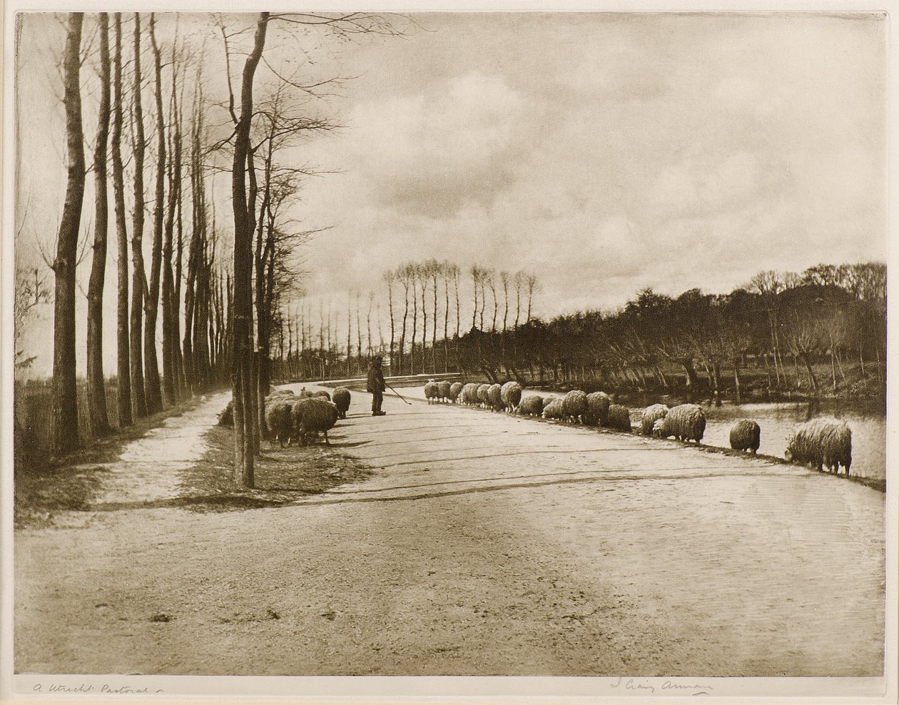Utrecht Pastoral