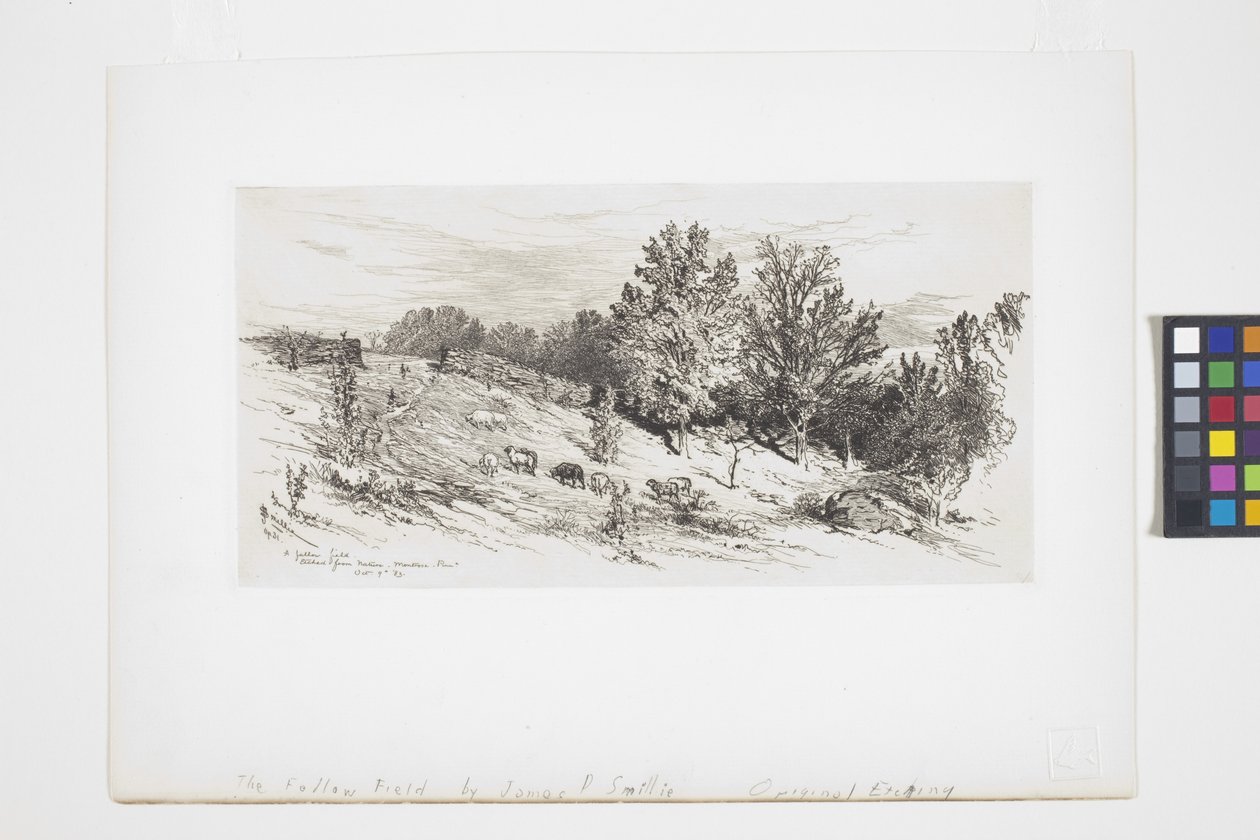 Nadas Alanı (mürekkep) by James David Smillie