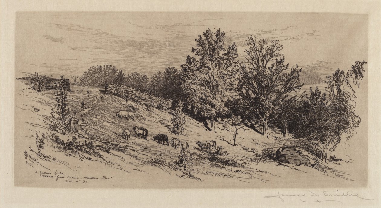 Nadas Alanı by James David Smillie