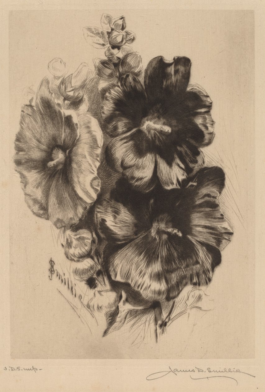 Karanlık Tek Hollyhocks by James David Smillie
