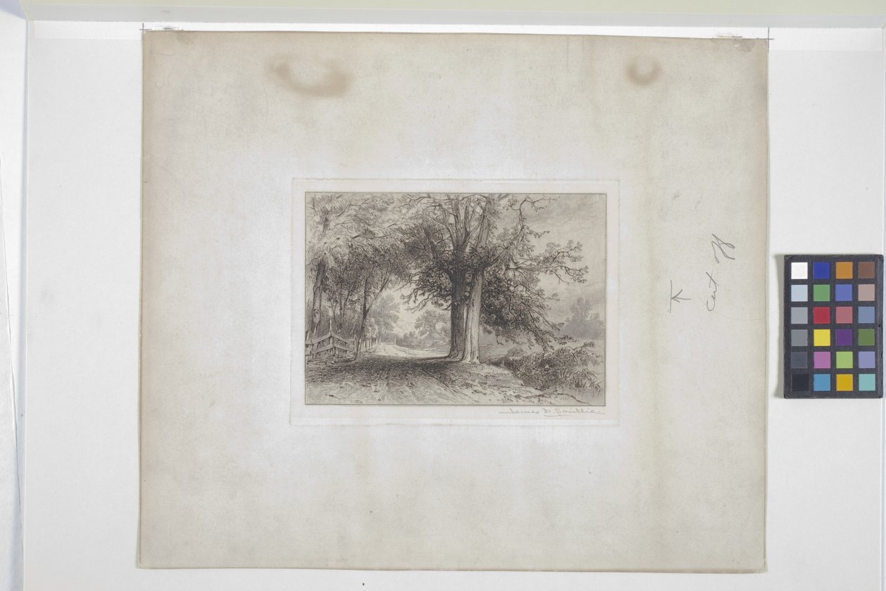Manzara (gravür, chine collé) by James David Smillie