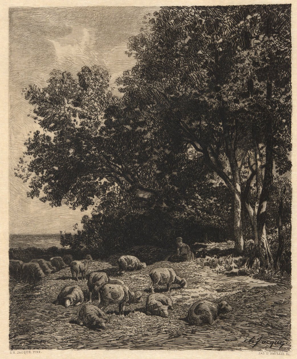 Manzara ve Koyun by James David Smillie