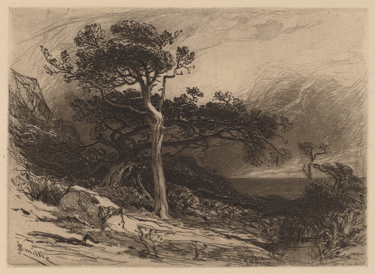 Eski Sedirler, Maine Sahili by James David Smillie