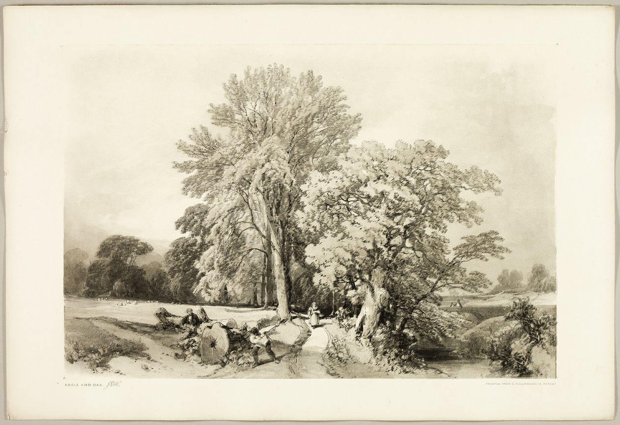 Park ve Orman'dan Abele ve Meşe by James Duffield Harding