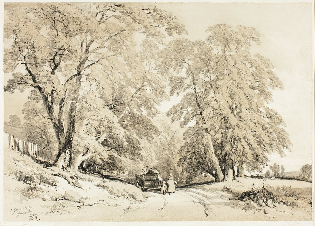 Kül, Park ve Orman