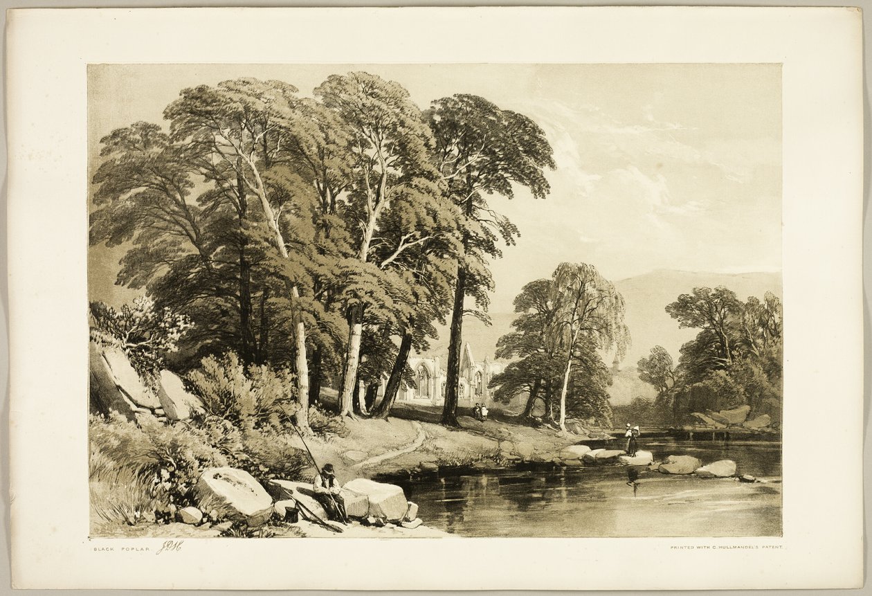 Kara Kavak, Park ve Ormandan by James Duffield Harding